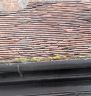 Kent peg tiles on house in King Street