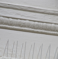 egg and dart on ovolo moulding, 2 Castle Street