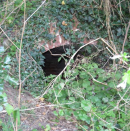 6  footpath arch