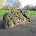 conglomerate stone in Greyfriars' garden