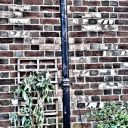 Wall lettering  –  London Road