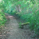 fallen and damaged stone in a rural track off Iffin Lane