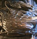 6  pelican in her piety