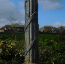'bundled reeds' post in Dane John