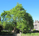 3  Westgate Gardens