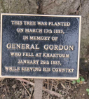 10  General Gordon's tree
