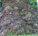 6  Canterbury castle - details