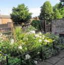 1  Butterfly garden