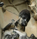 15 dove whispering into the ear of Pope Gregory