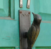 woodpecker – St Peter's Place