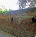 1  bee boles in the perimeter wall