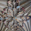 1  group of 29 shields on ceiling of south west porch