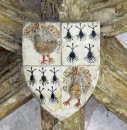 8  ermine and peacocks