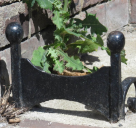Boot scraper  –  Albany Street