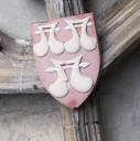 4  shield of William Lord Roos