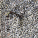 remains of an external gas light on Dominican Priory off St Peter's Lane