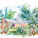 1  William Master's exotic nursery
