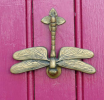 dragonfly - Black Griffen Lane
