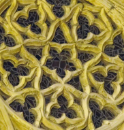 Trefoil – Cathedral, window of Anselm chapel includes many trefoil elements