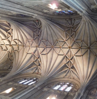 stellar vault in cathedral nave