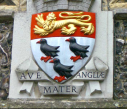 7  arms of the city
