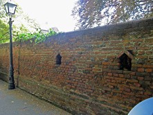 beeboles-1