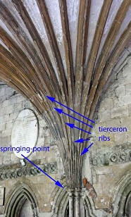 rib-terms-1