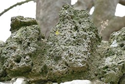 stone-tufa