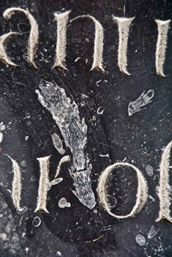 stones-carboniferous_fossil-cloister-W