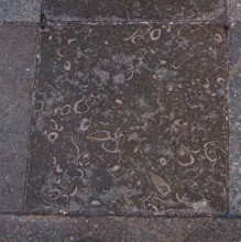 BS-Purbeck-Limestone-Upper-Pulpitum-steps-3