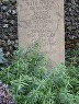 wilberforce-3
